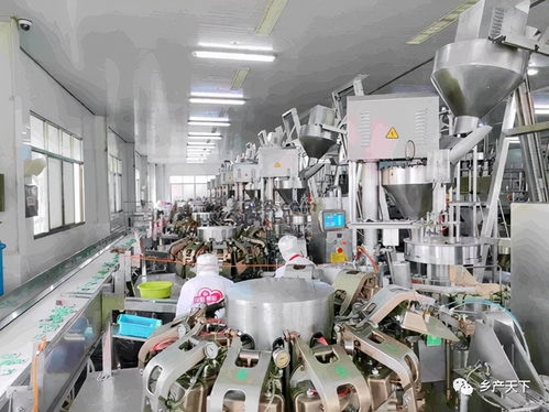 紅太陽精品 東“菜”西“薯”，爭做保障供給排頭兵