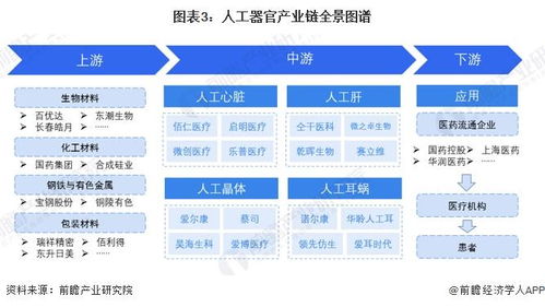 預(yù)見(jiàn)2024 中國(guó)人工器官行業(yè)全景圖譜——市場(chǎng)現(xiàn)狀、競(jìng)爭(zhēng)格局與發(fā)展趨勢(shì)洞察